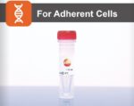 DNAfectin™ Plus Transfection Reagent