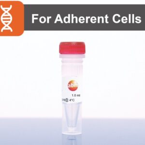 DNAfectinâ„¢ Plus Transfection Reagent