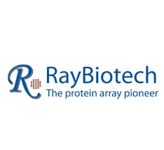 Mouse Anti-Human ABCB6